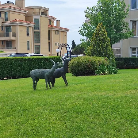 Apartment Sunny Chernomorets