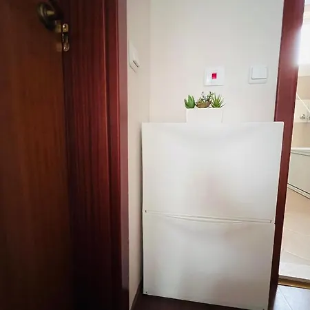 Sunny Apartment