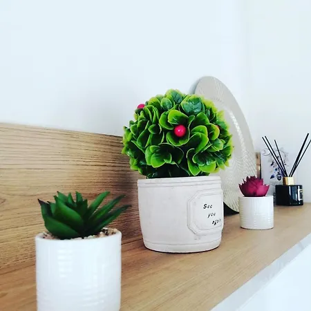 Apartment Sunny