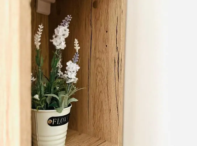 Sunny Апартамент *