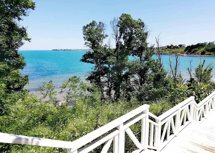 Sunny * Черноморец