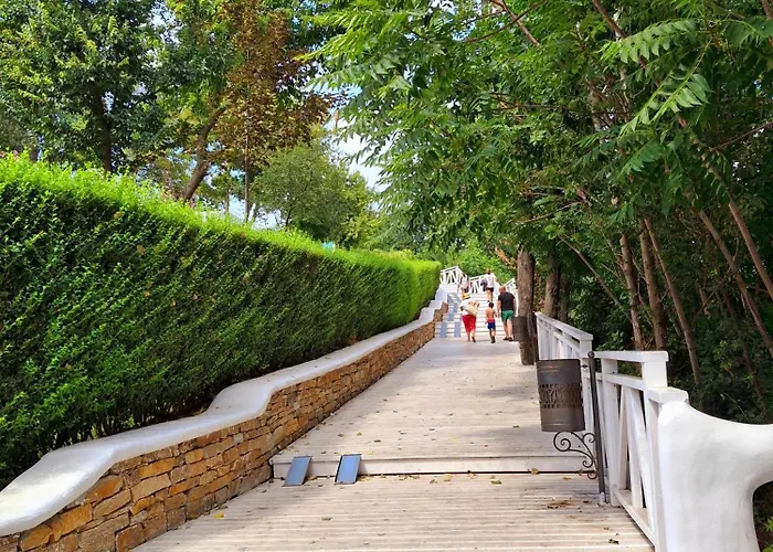 Sunny * Черноморец