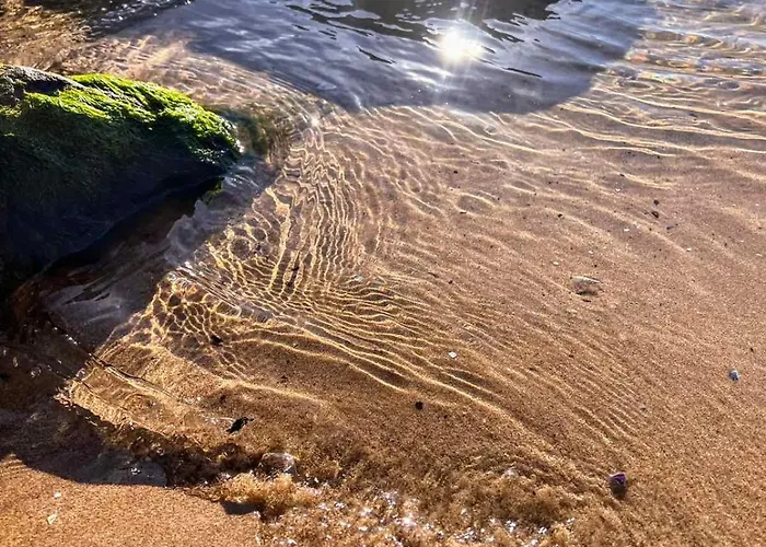 Апартамент Sunny